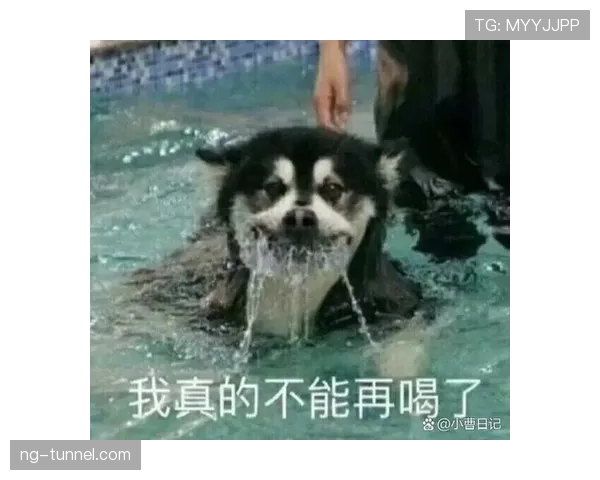 哈兰德这训练强度,怪不得场下连奶茶都戒了 哈兰德这训练强度,怪不得场下连奶茶都戒了
